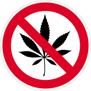 CONTACTO Hinweis- /Verbotsschilder Cannabisverbot / 20 cm
